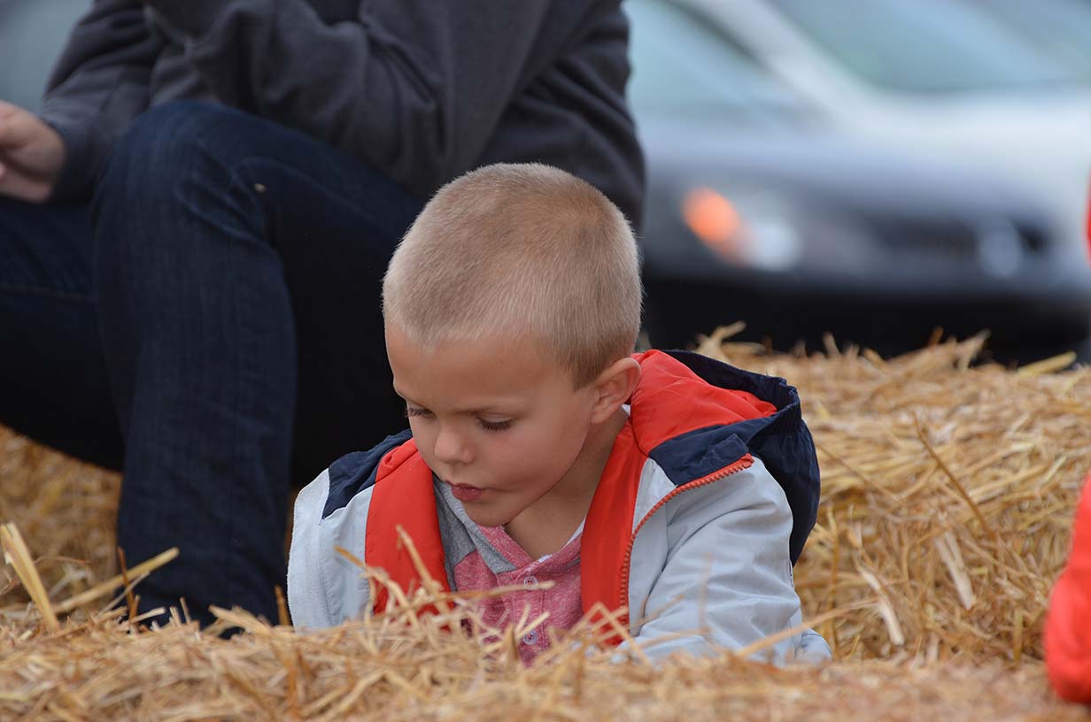 Harvest Party