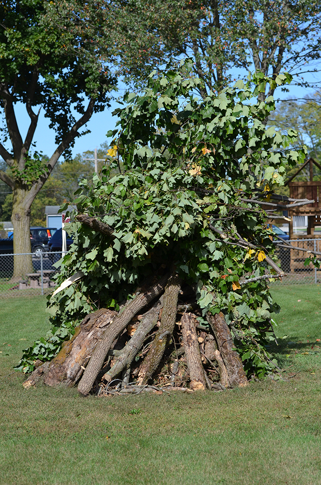 Harvest Bonfire Party