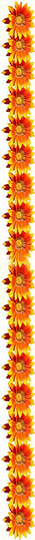 Flower Border