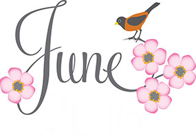 Robin and Pink Flowers