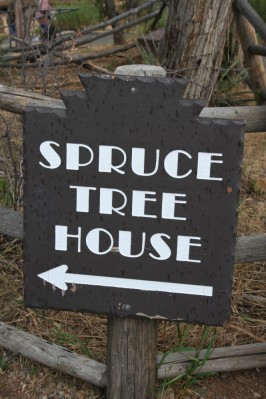 Spruce Tree House Sign