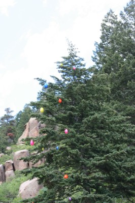 The "Easter Tree" decorated with Easter Eggs