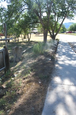 Sprinklers Along Sidewalk Spraying Water