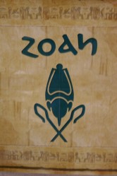 Zoan