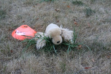 Stuffed Dog for Games