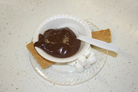 Chocolate Pudding Snack