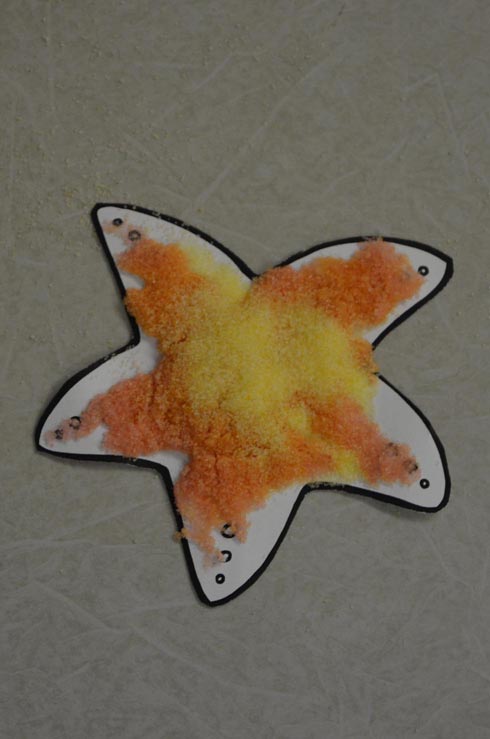 Starfish Craft