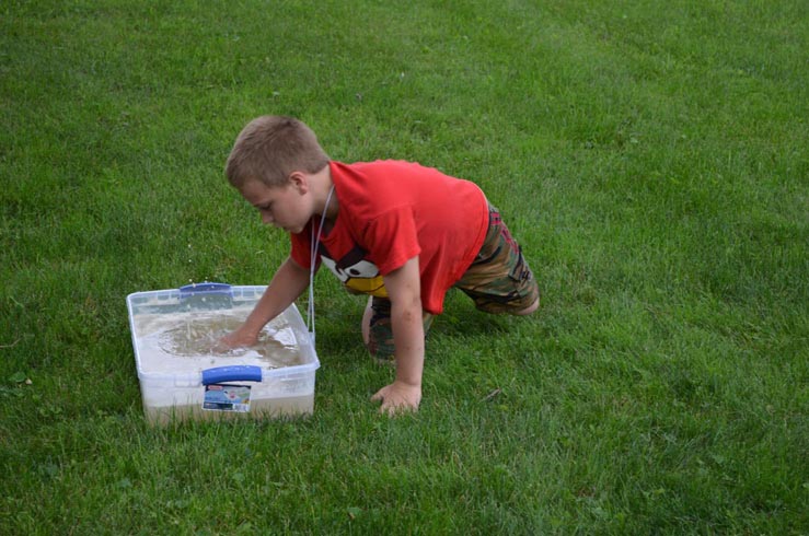 Boy Searching for Shell Clues in Sandy Water