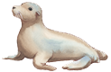 Seal