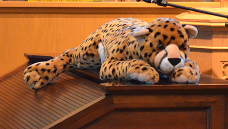 Stuffed Tiger on Top of Organ