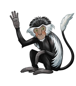 Tumbili (Monkey)