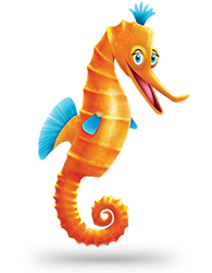 Cora Seahorse