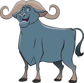 Marge the Cape Buffalo