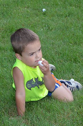 Child Searching for the Right Scented Cotton Ball