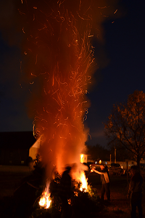 Harvest Party